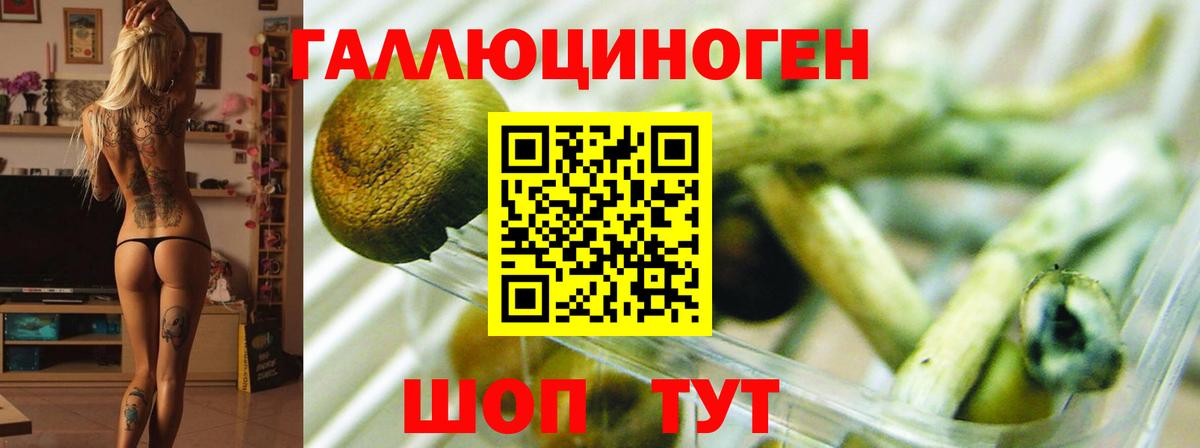 Кемерово  Псилоцибиновые грибы Cubensis  как найти наркотики  Псилоцибиновые грибы Magic Shrooms  Вход с VPN 